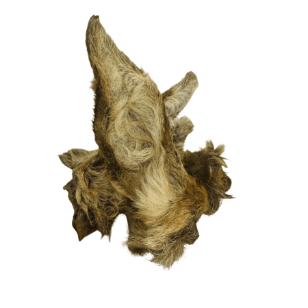Hairy Venison Ears